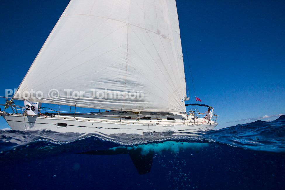 Image Name: N40A7394