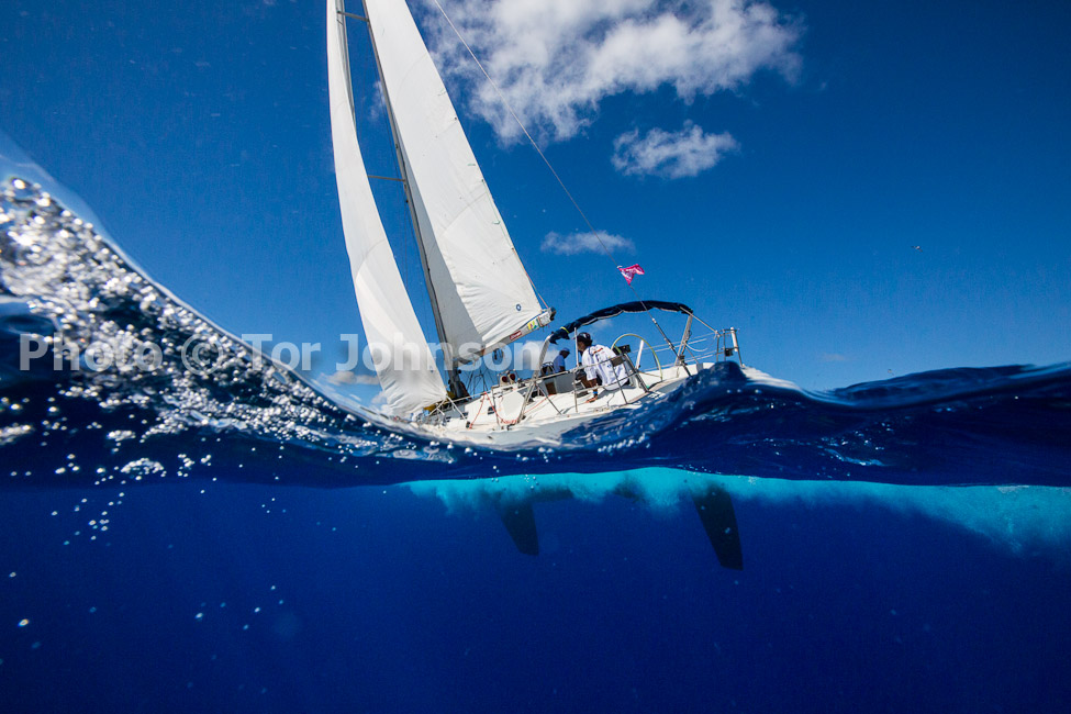 Image Name: N40A7404