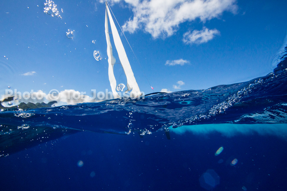 Image Name: N40A7405