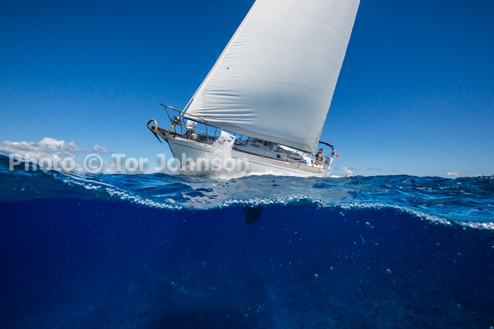 Image Name: N40A7408