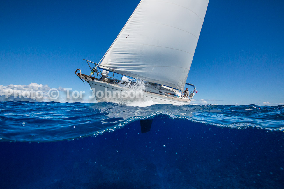 Image Name: N40A7409