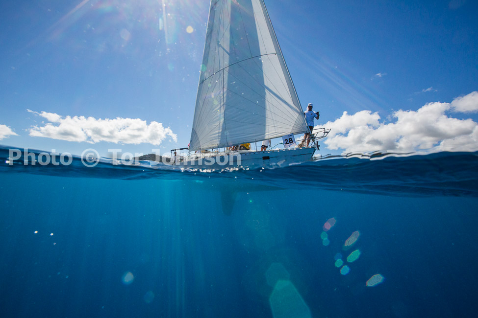 Image Name: N40A7439