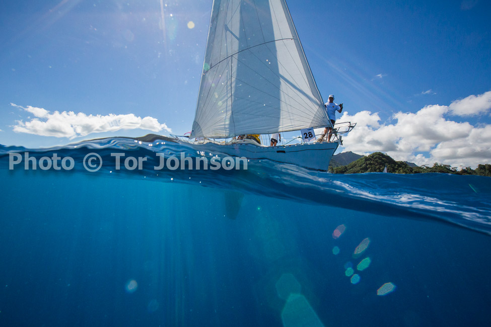 Image Name: N40A7441