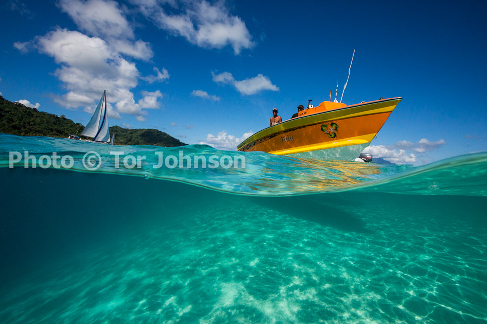 Image Name: N40A7462