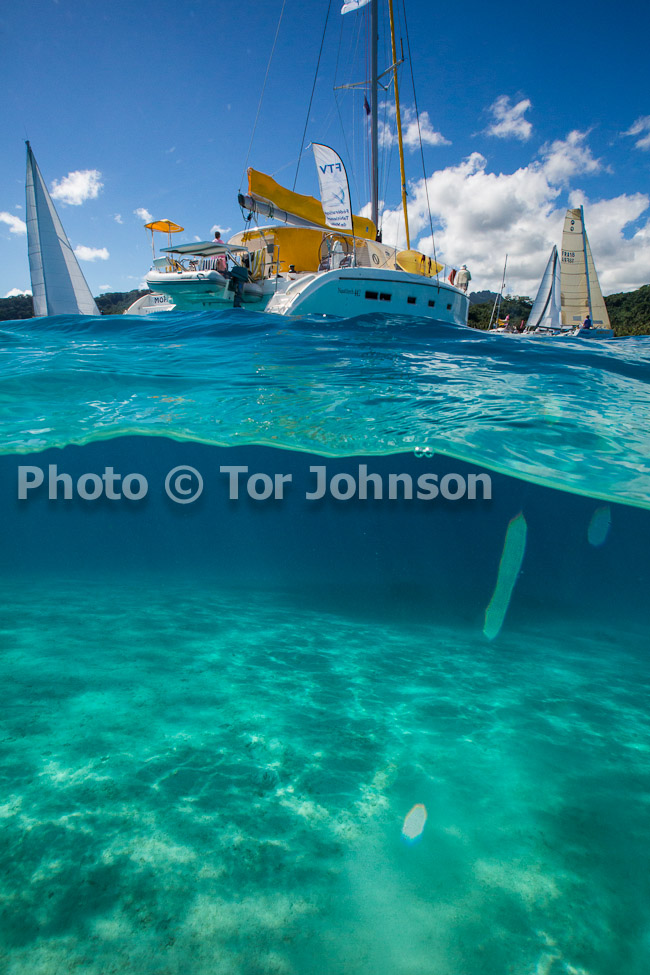 Image Name: N40A7474