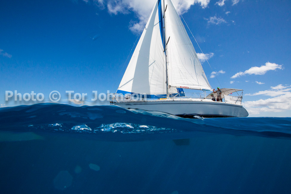 Image Name: N40A7506