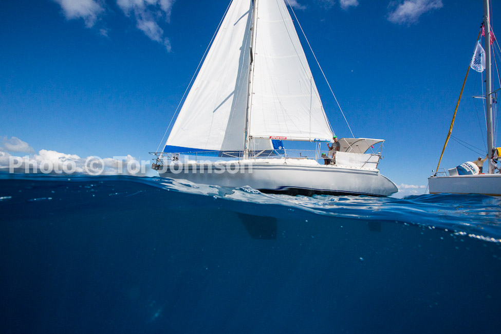 Image Name: N40A7508