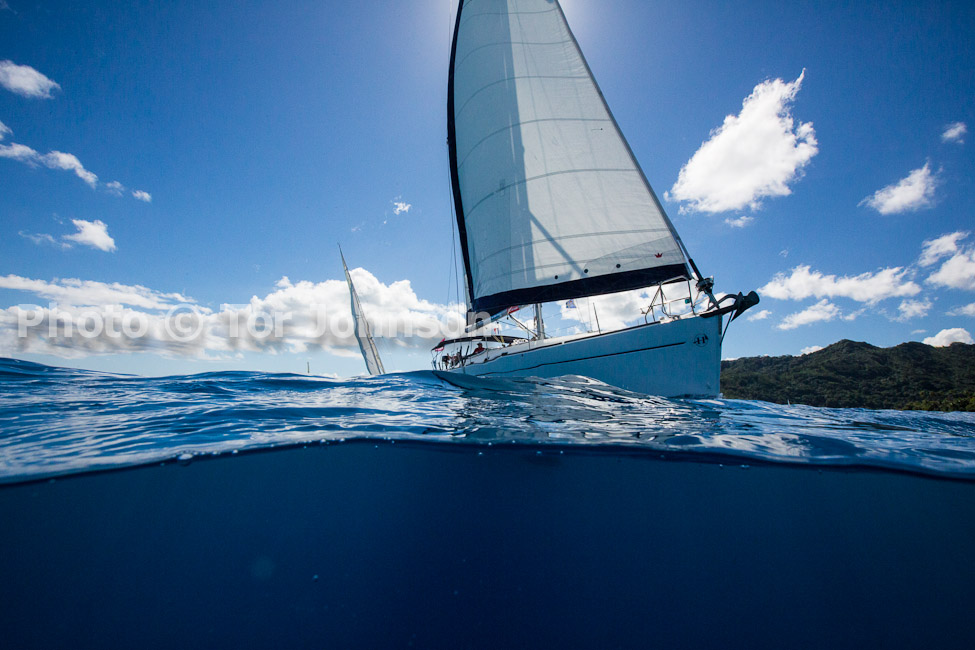 Image Name: N40A7514