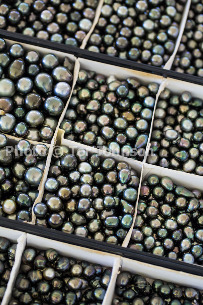 Image Name: N40A7590