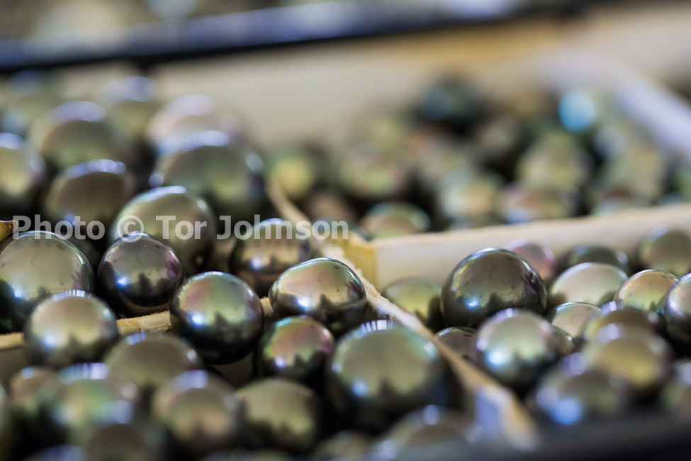 Image Name: N40A7592