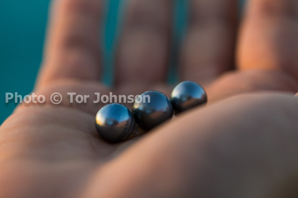 Image Name: N40A7721