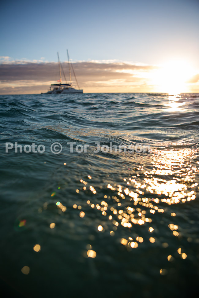 Image Name: N40A7736