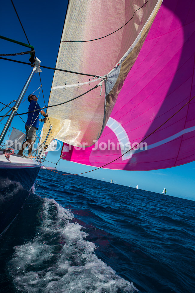 Image Name: N40A7903