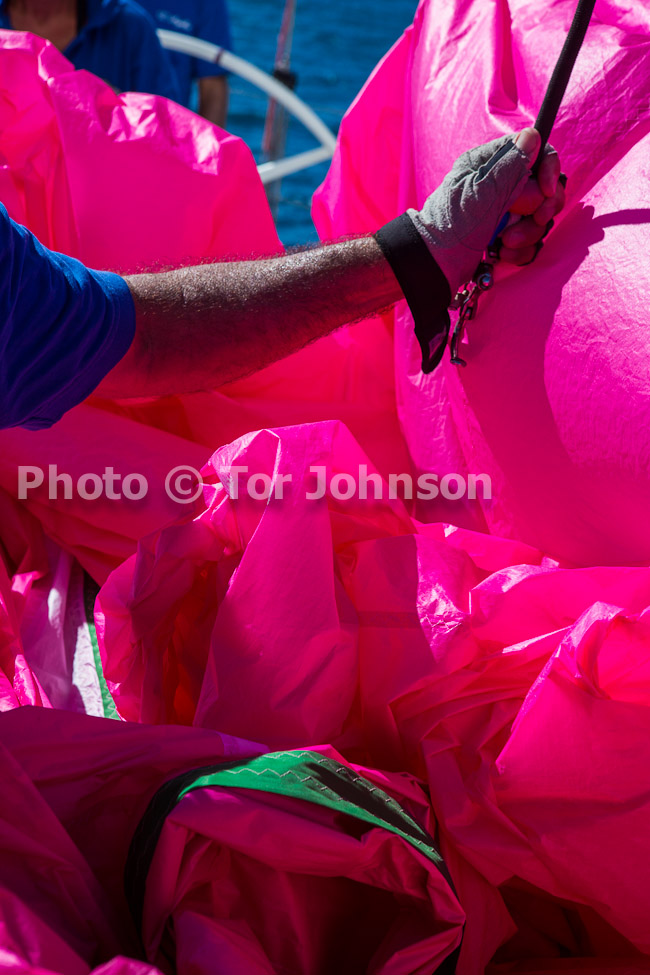 Image Name: N40A7967