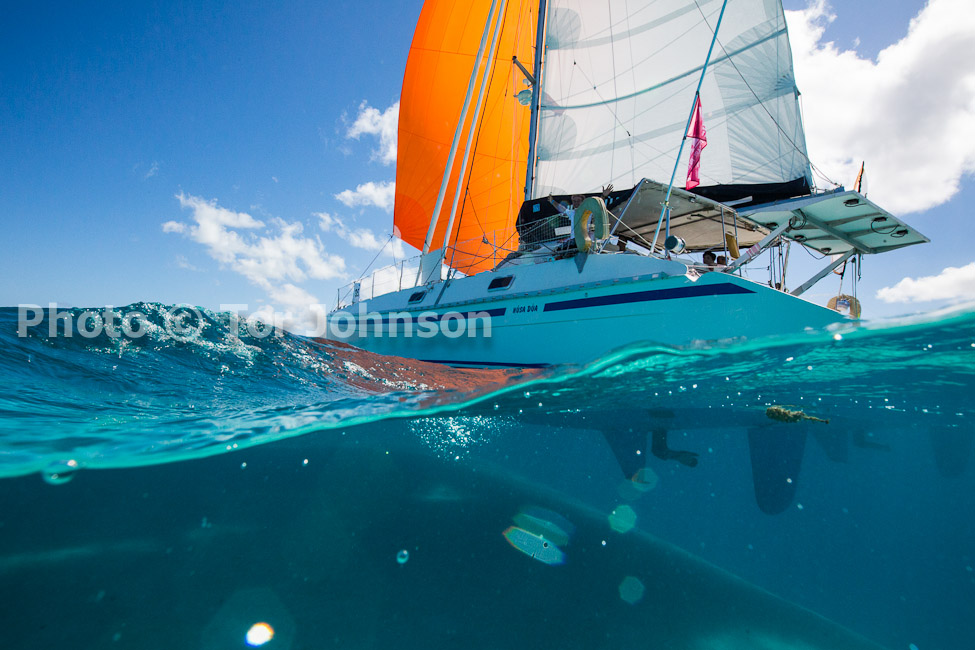 Image Name: N40A8068