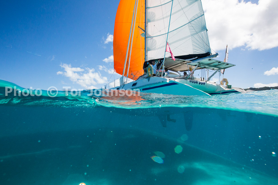 Image Name: N40A8071