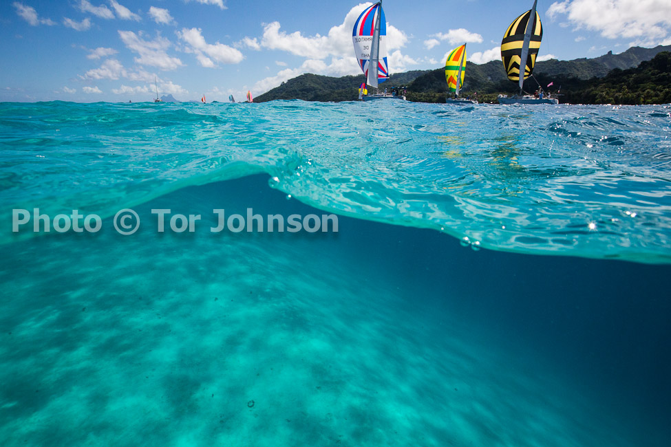 Image Name: N40A8091