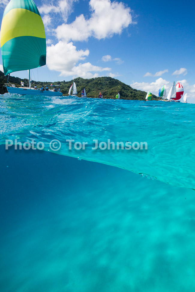 Image Name: N40A8119