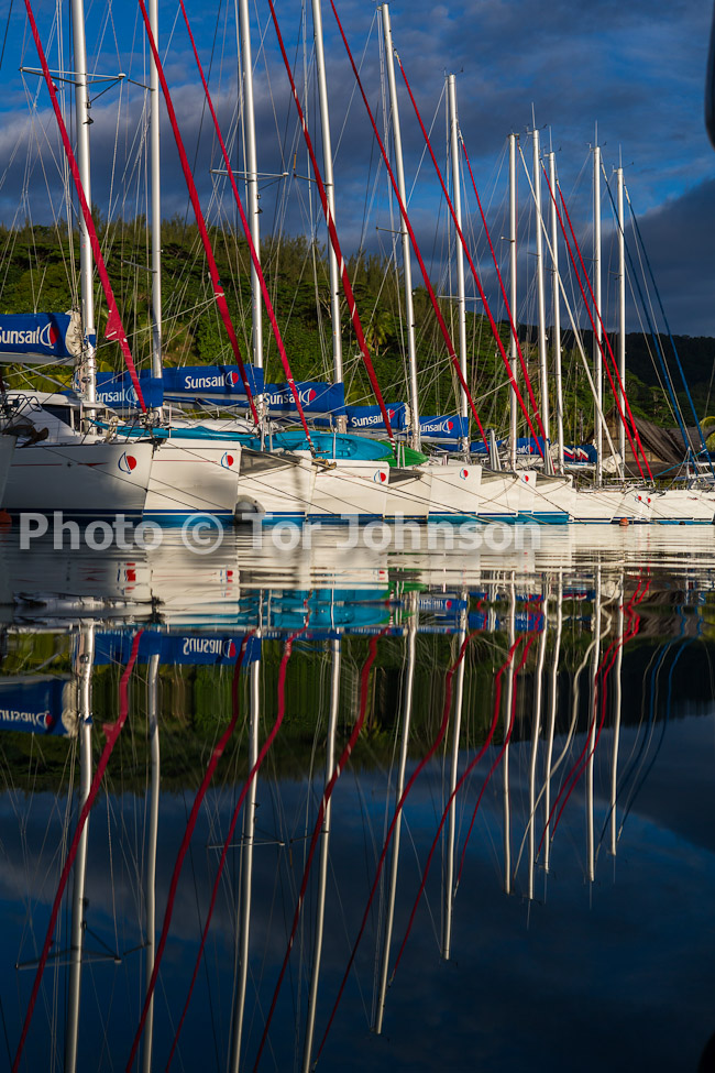 Image Name: N40A8376