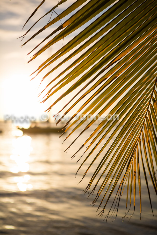 Image Name: N40A8391