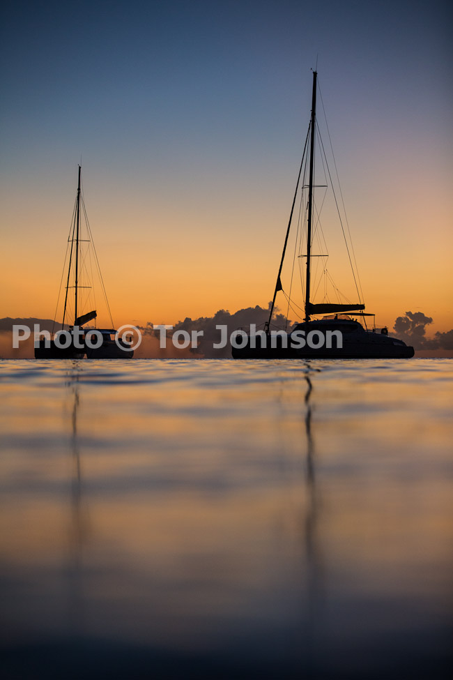 Image Name: N40A8428