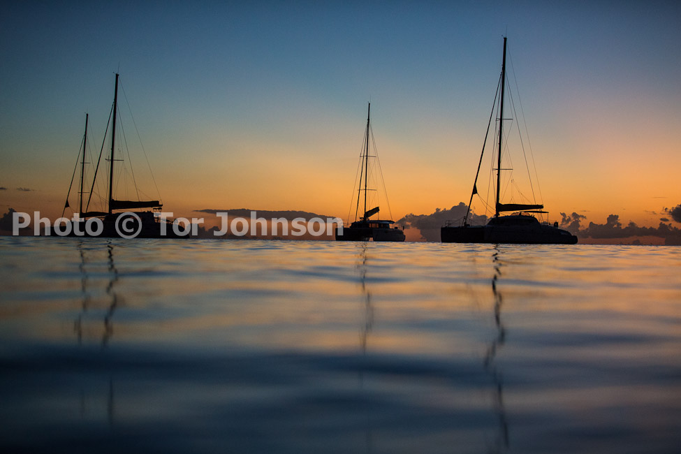 Image Name: N40A8432