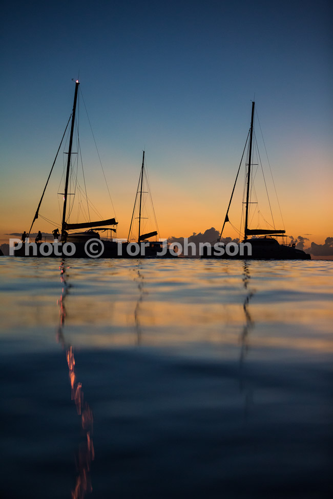 Image Name: N40A8437