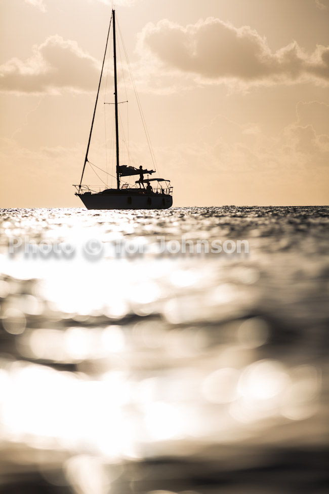 Image Name: N40A8574