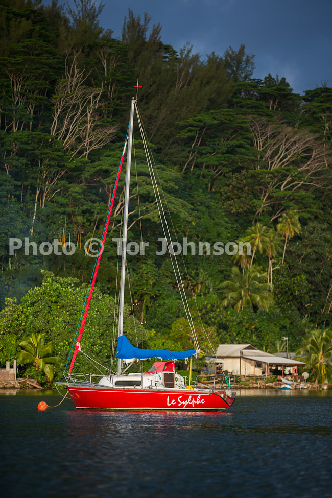 Image Name: N40A8743