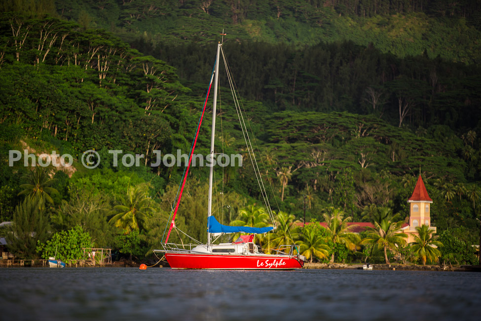 Image Name: N40A8748