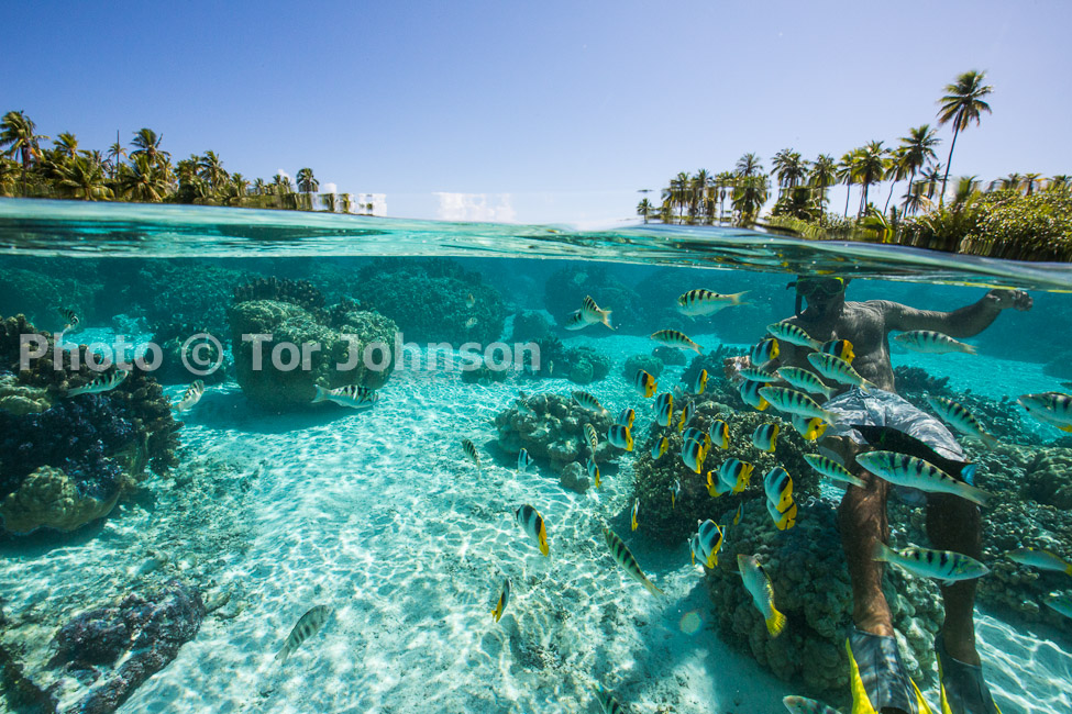 Image Name: N40A8884