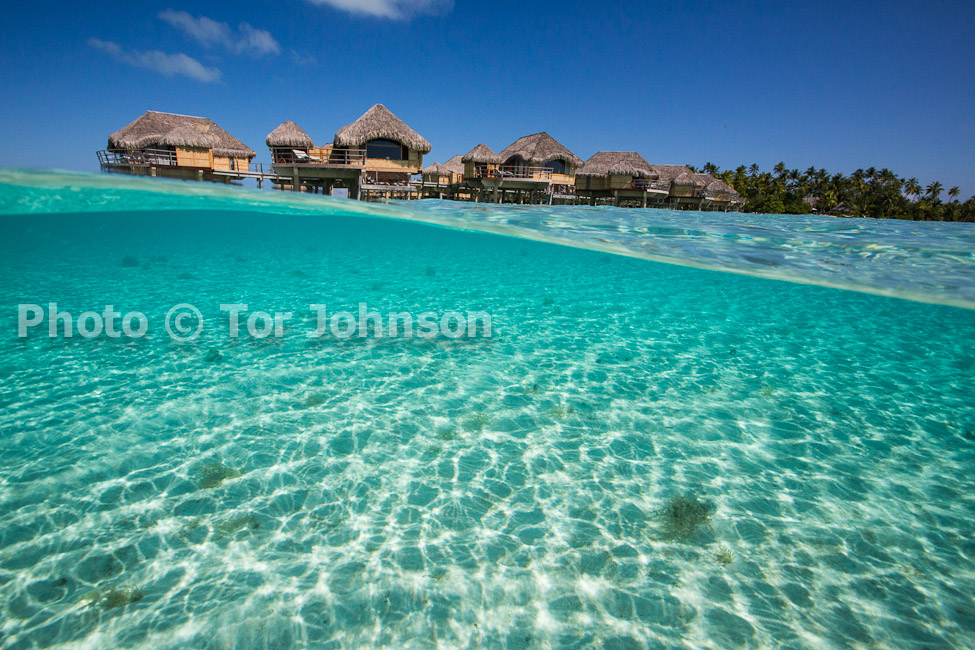 Image Name: N40A8937