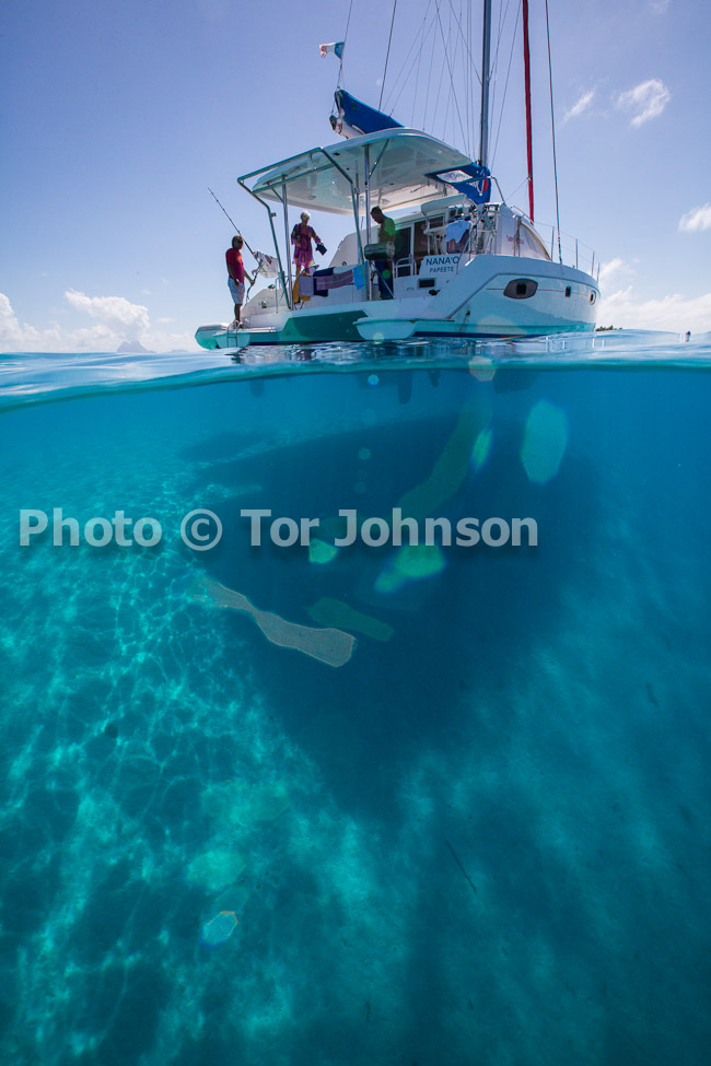 Image Name: N40A9001