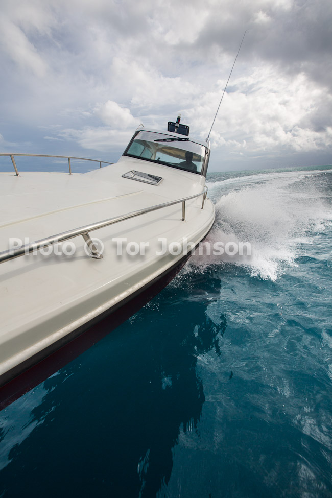 Image Name: N40A9433