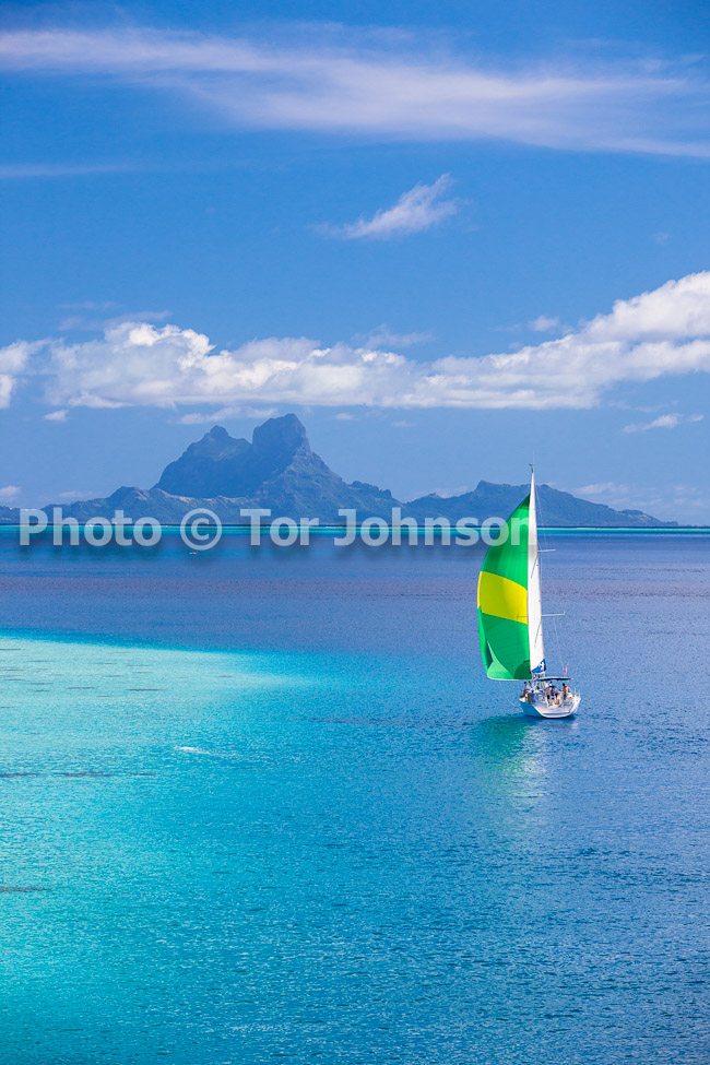 Image Name: _MG_4955