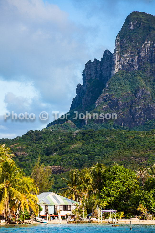 Image Name: _MG_5053