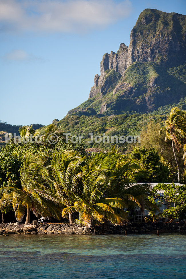 Image Name: _MG_5113