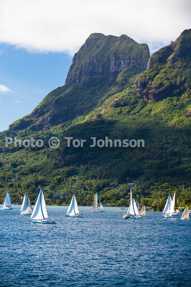 Image Name: _MG_5206