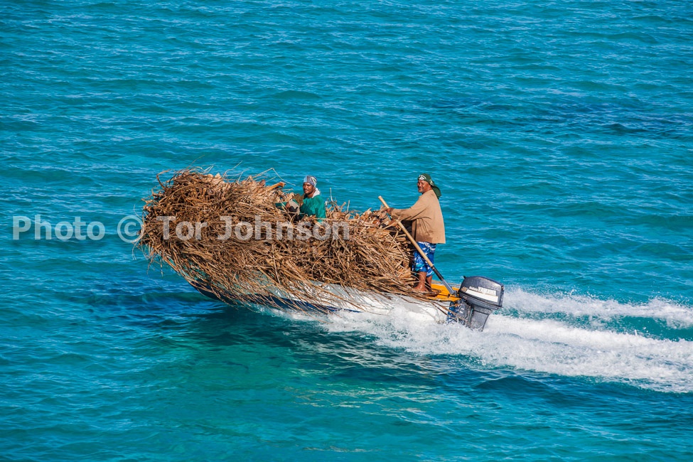 Image Name: _MG_5229