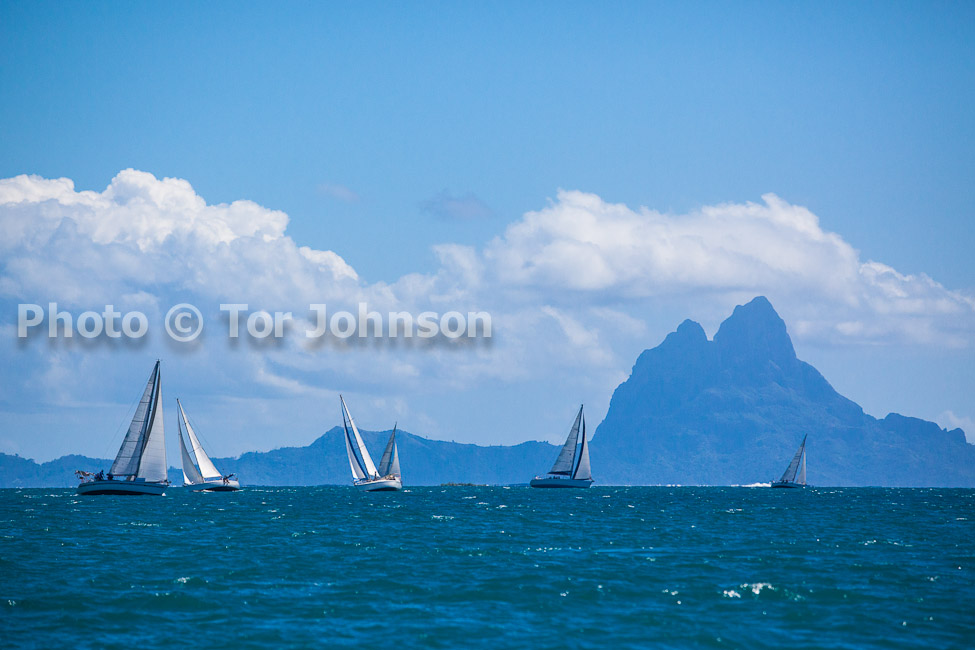 Image Name: _MG_5449