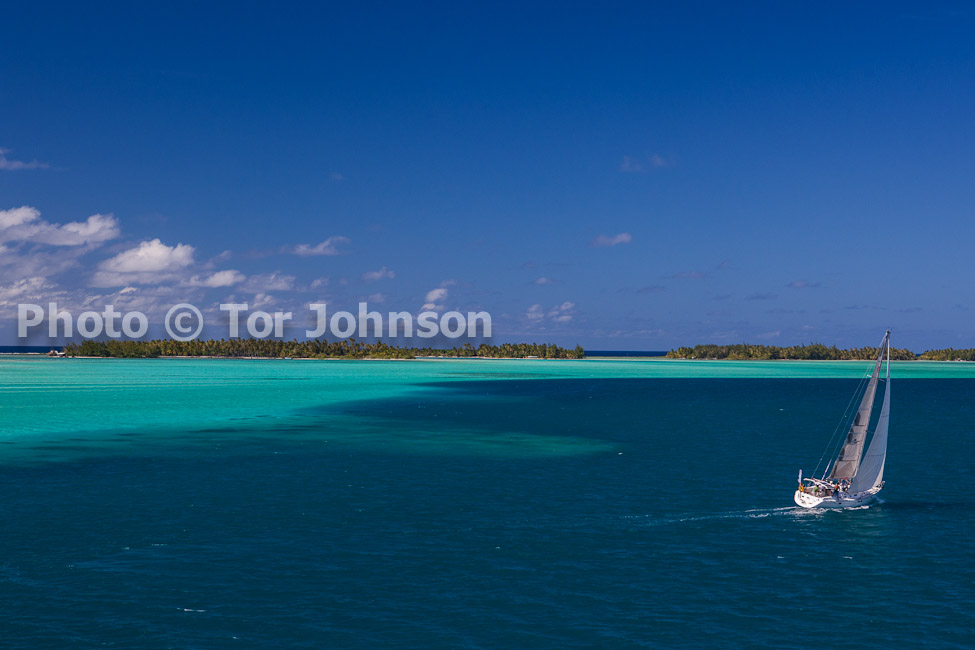 Image Name: _MG_5491