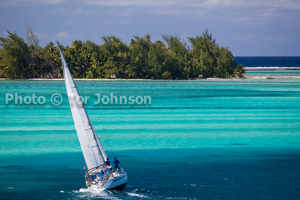 Image Name: _MG_5517