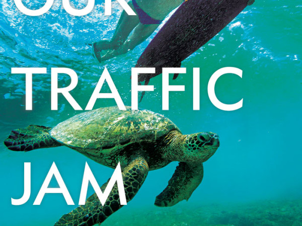 Hawaiian Air Our Traffic Jam