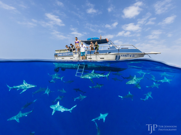 OneOceanDiving_98A0409
