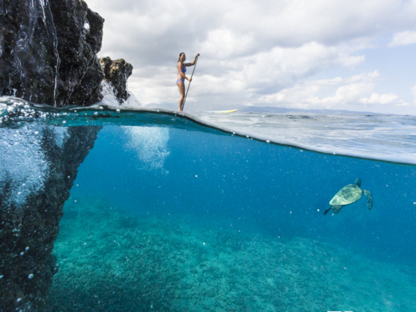 Woman stand up paddling at Sharks Cove, with turtle swimming beneath